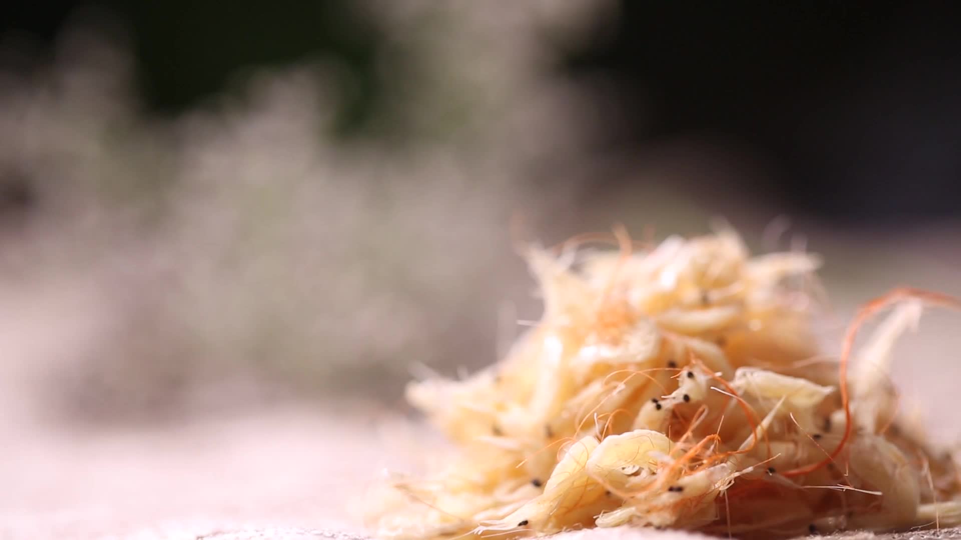 镜头合集虾米虾皮补钙视频的预览图