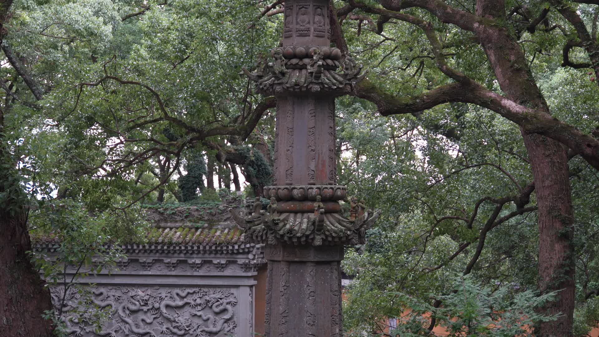 浙江舟山普陀山法雨寺视频的预览图