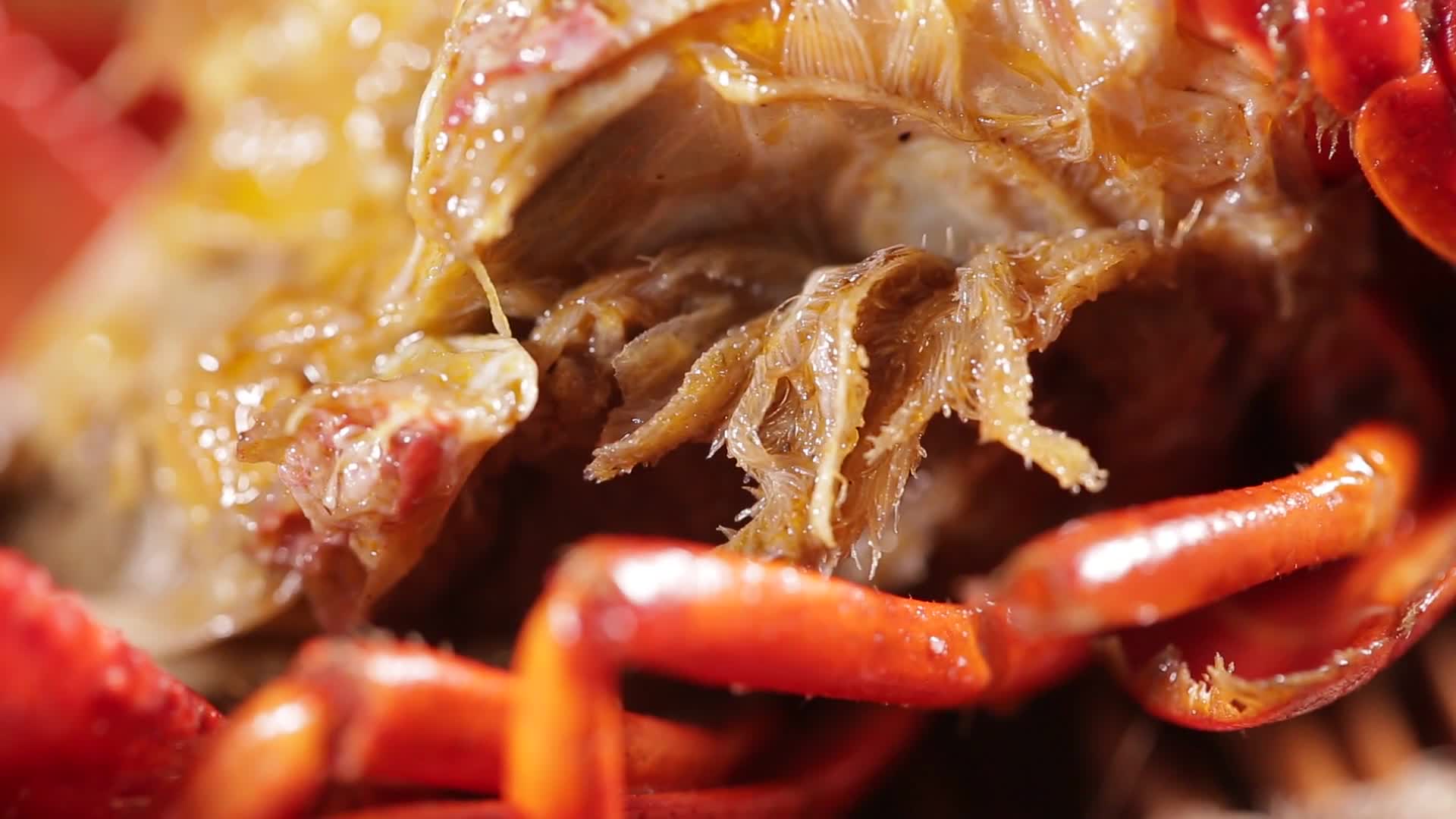 镜头合集掰开小龙虾壳看虾腮视频的预览图