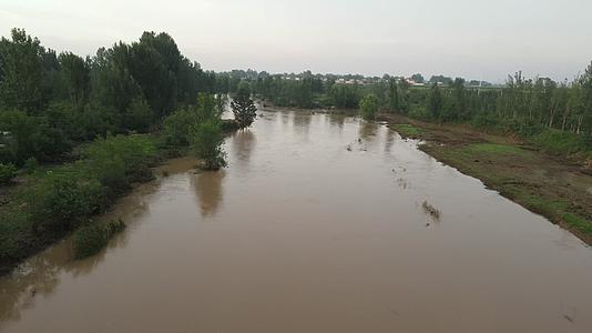 河道农村河道黄色的水放水雨后的河道视频的预览图