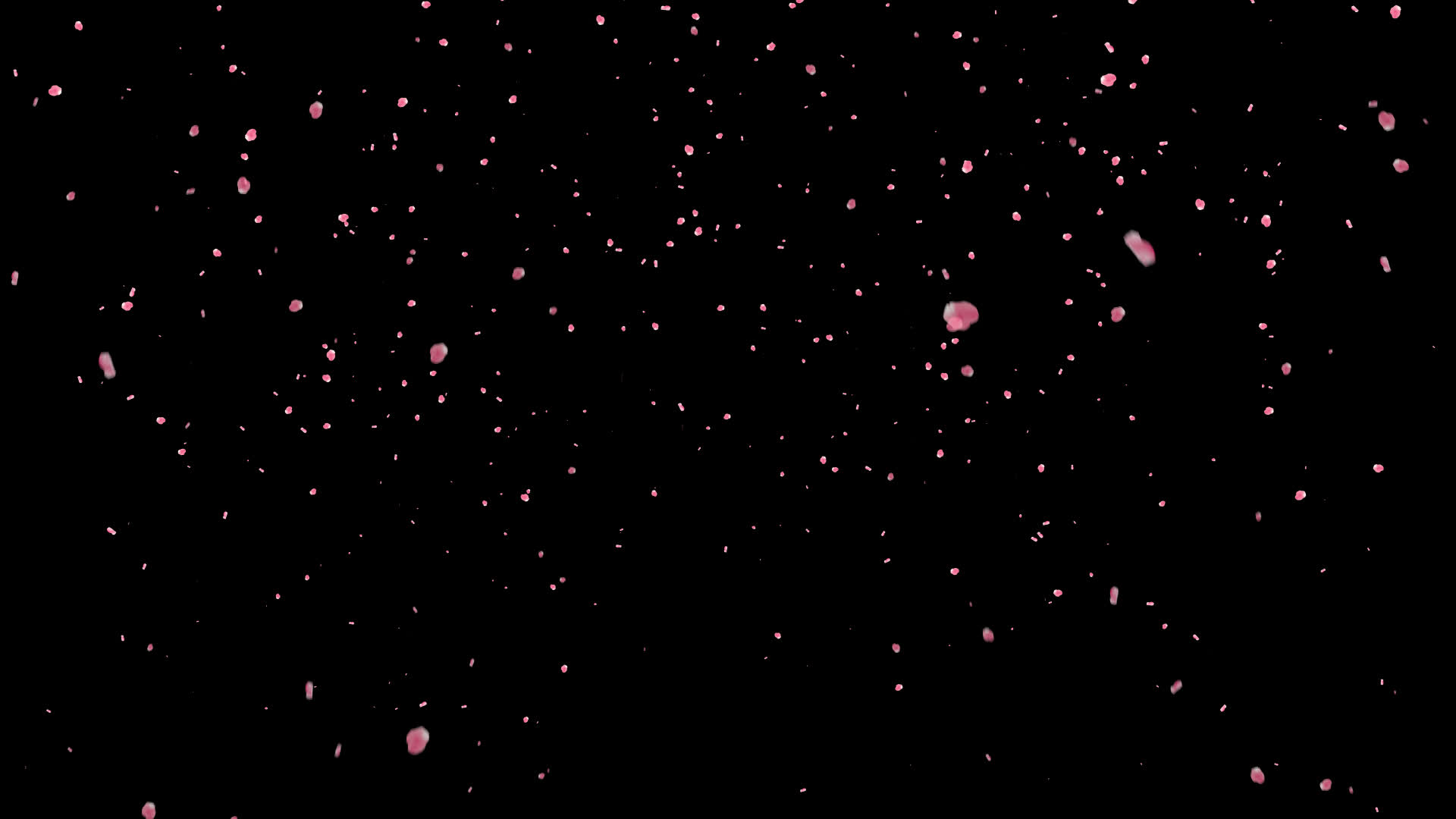 粒子花瓣飞舞带透明通道视频视频的预览图