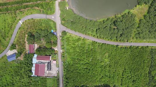 湖南汉寿野生动物园4A景区视频的预览图