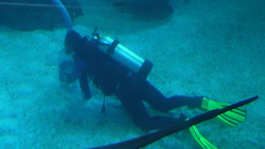 镜头合集潜水员氧气瓶氧气管海洋作业视频的预览图