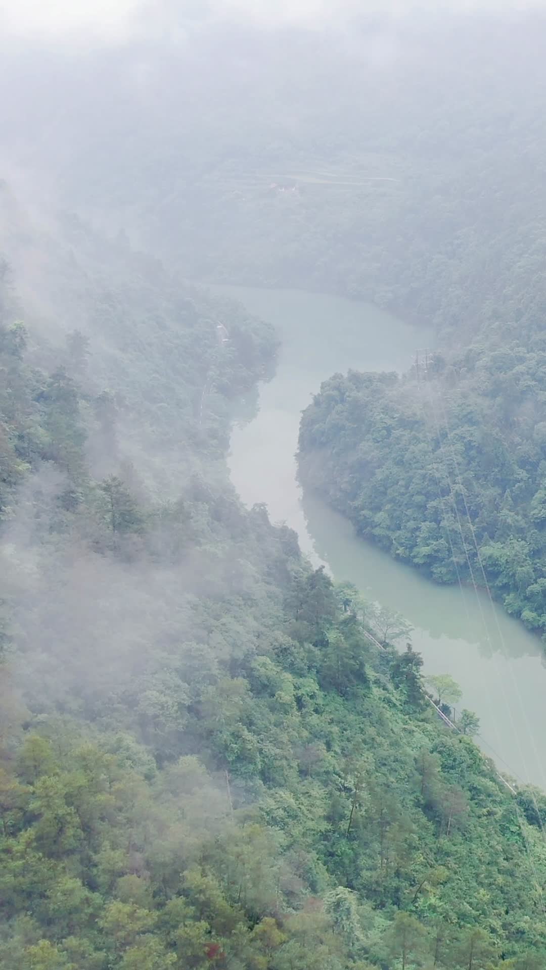 自然风光绿色森林山谷清晨云雾竖屏航拍视频的预览图