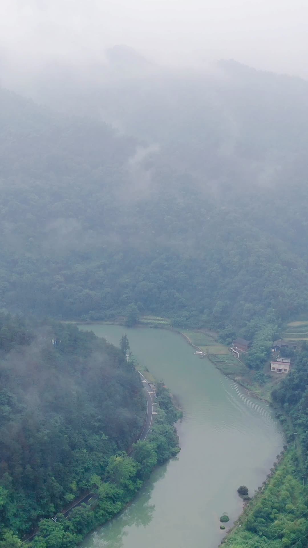 自然风光山中河流清晨迷雾竖屏航拍视频的预览图