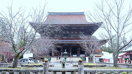 日本京都金福寺视频的预览图