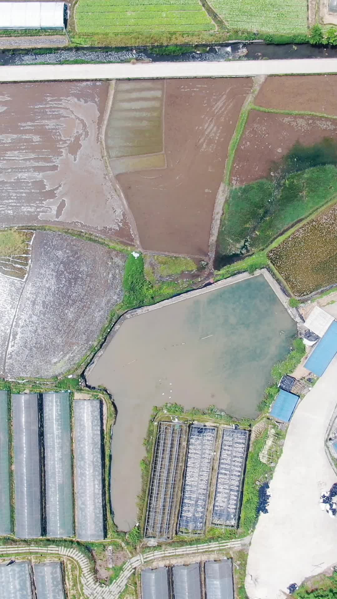 农业种植农田竖屏航拍视频的预览图