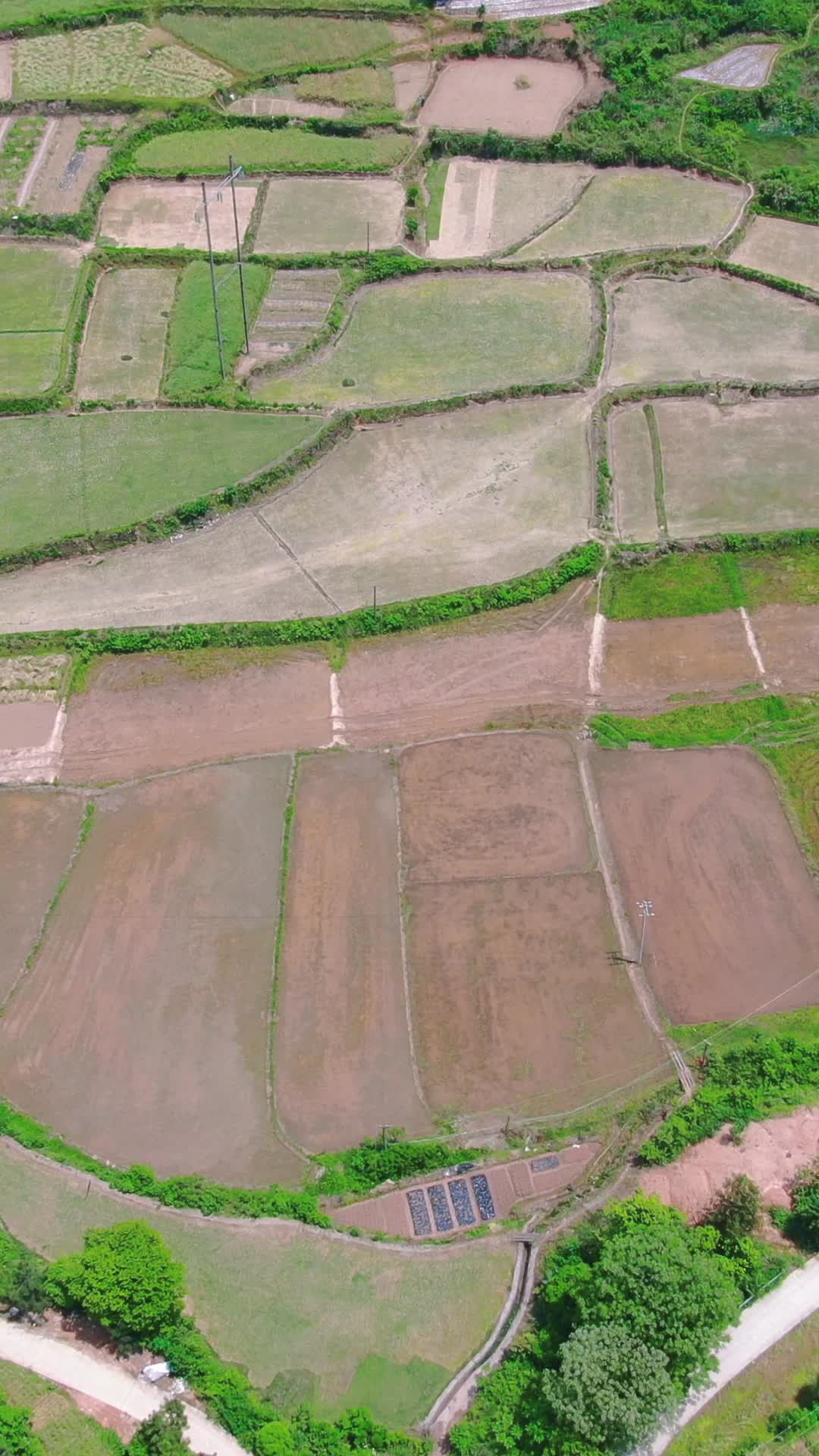 农业种植农田竖屏航拍视频的预览图