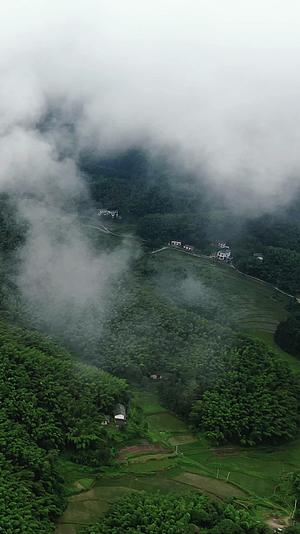 旅游景区湖南大围山国家森林公园竖屏云雾航拍视频的预览图