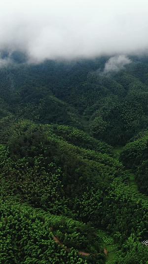 旅游景区湖南大围山国家森林公园竖屏云雾航拍视频的预览图