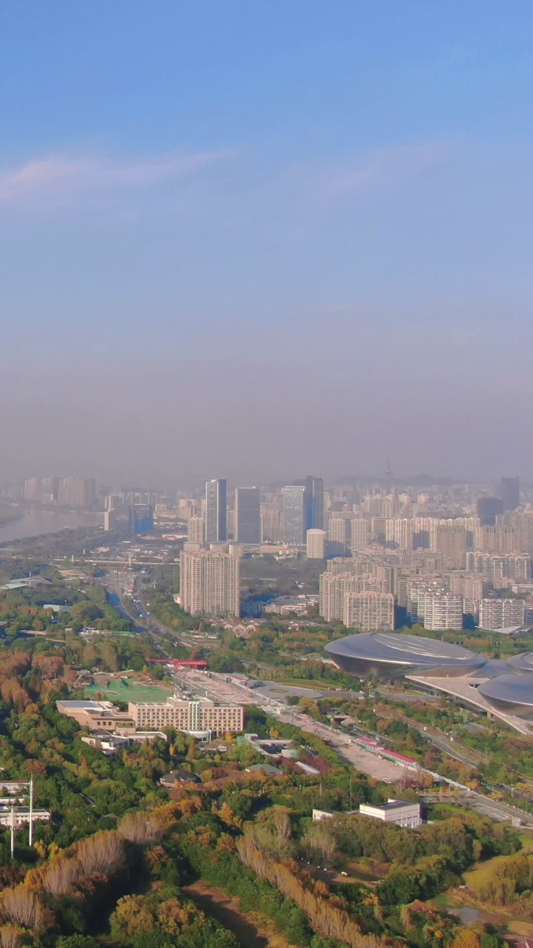 城市航拍南京夹江湿地公园竖屏视频的预览图