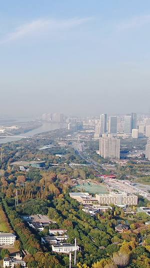 城市航拍南京夹江湿地公园竖屏视频的预览图