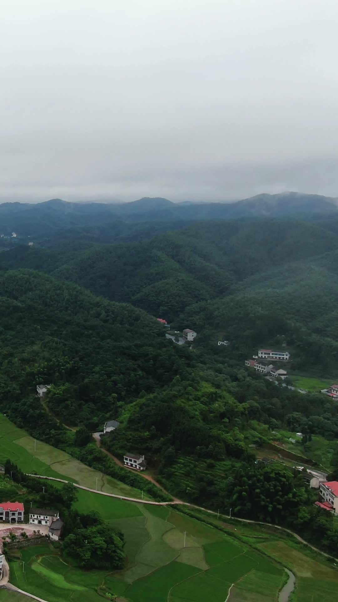 高山绿色植物迷雾竖屏航拍视频的预览图