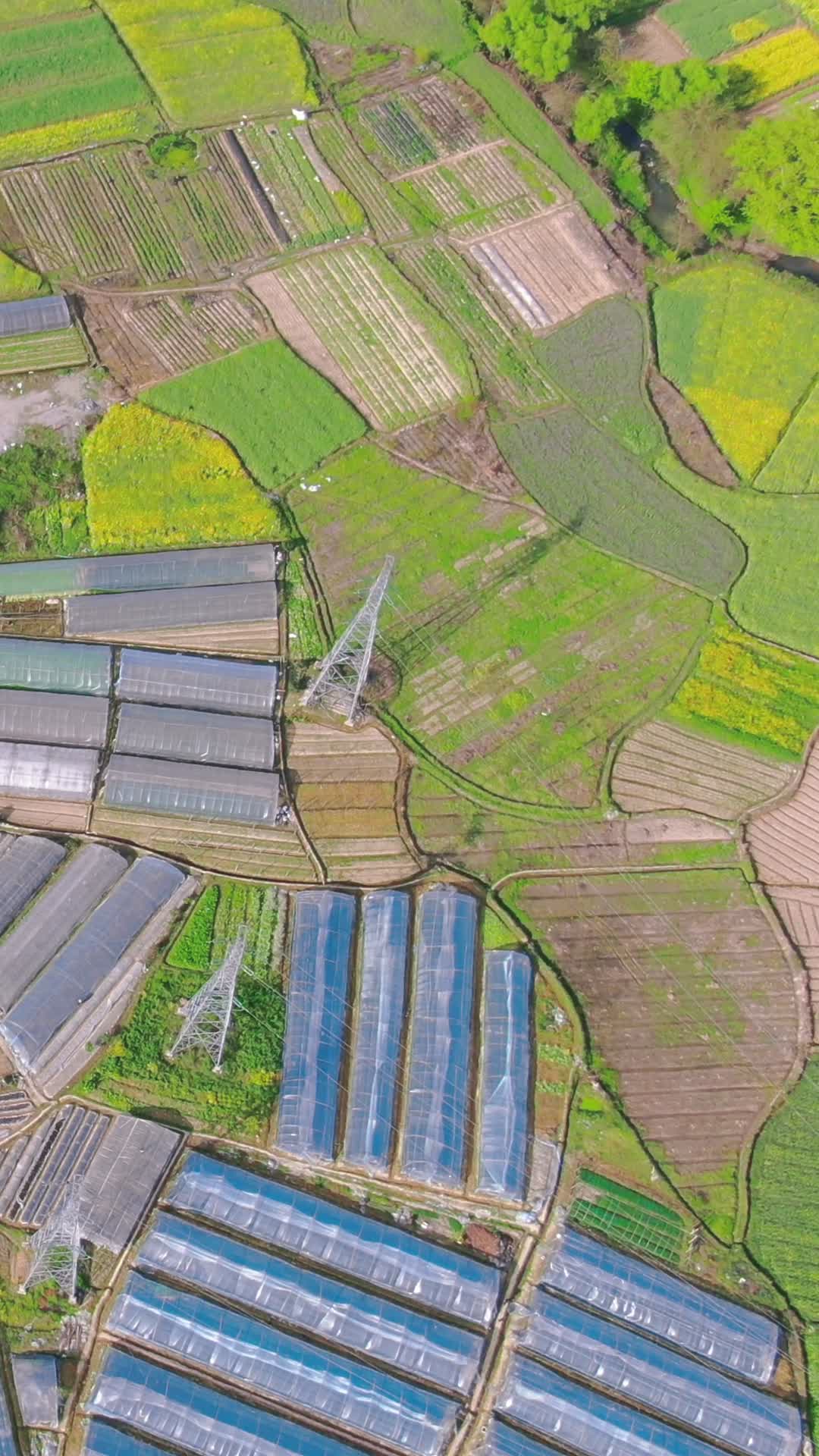 俯拍农业种植大棚蔬菜视频的预览图