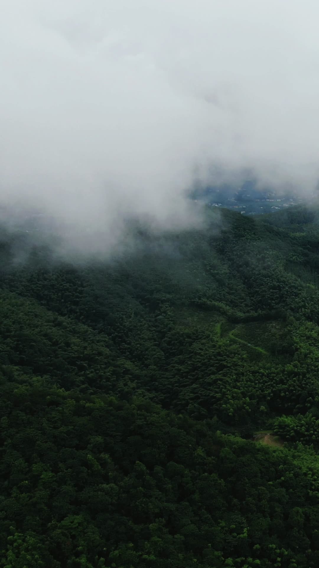 高山绿色植物迷雾竖屏航拍视频的预览图