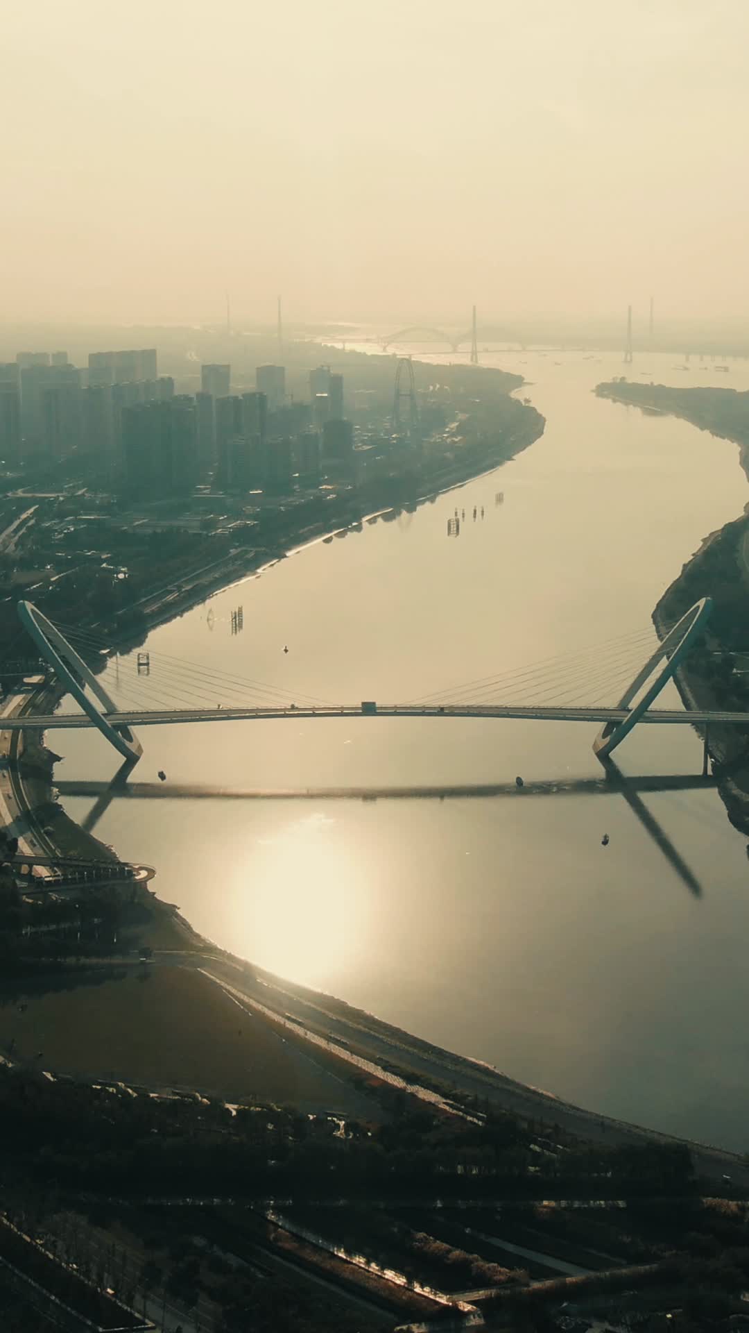 城市航拍南京之眼地标建筑竖屏视频的预览图