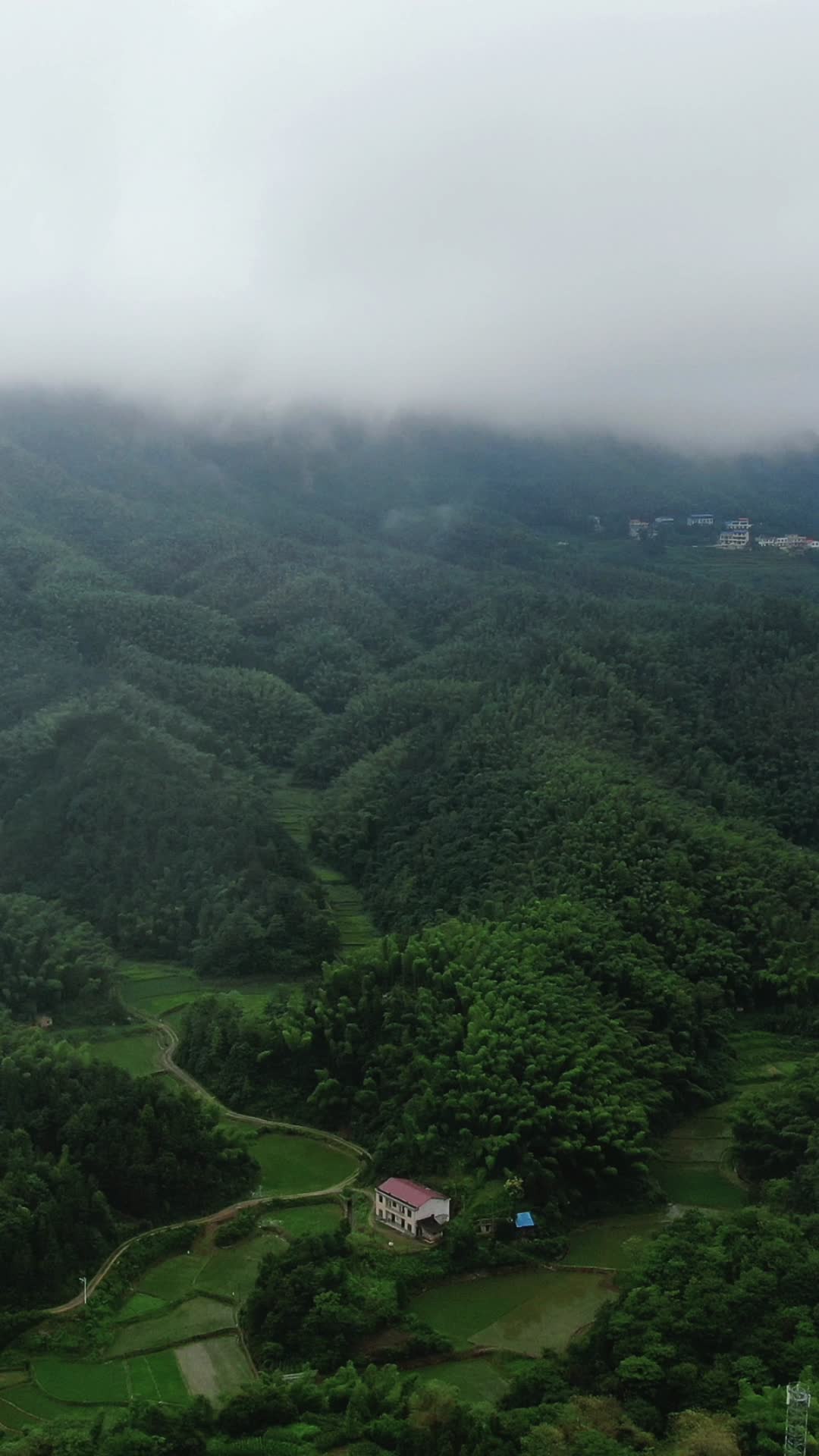 大自然清晨山间云雾缭绕竖屏航拍视频的预览图