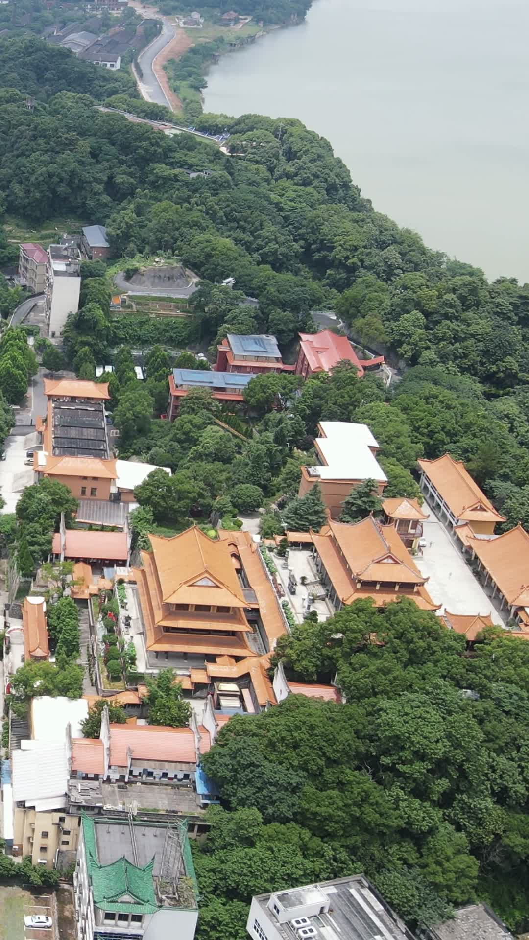 城市航拍湖南益阳白鹿寺视频的预览图