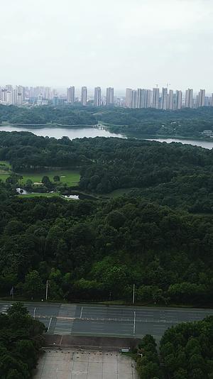 湖南益阳城市花园绿化视频的预览图