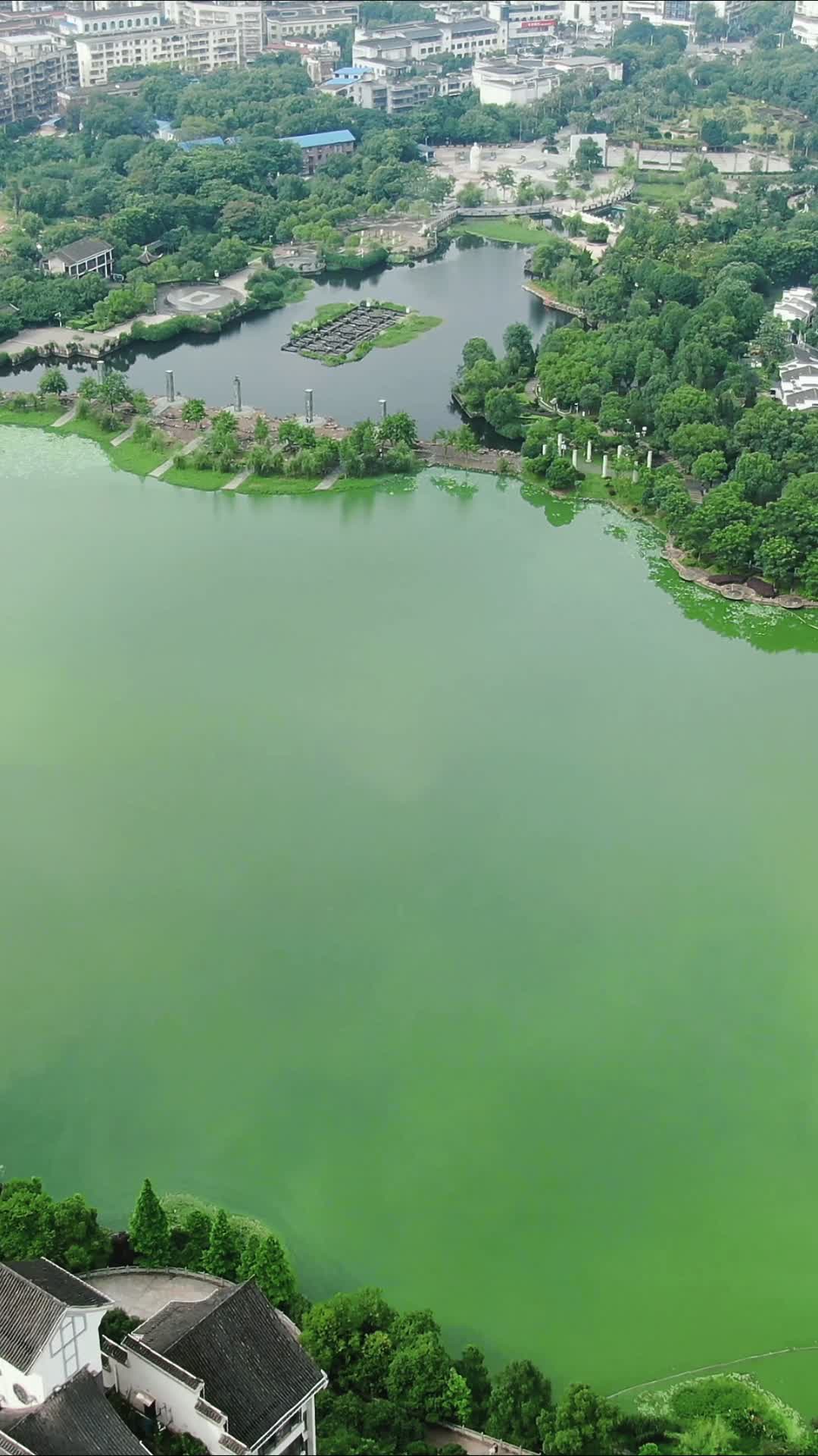 城市航拍湖南湘潭白石公园视频的预览图
