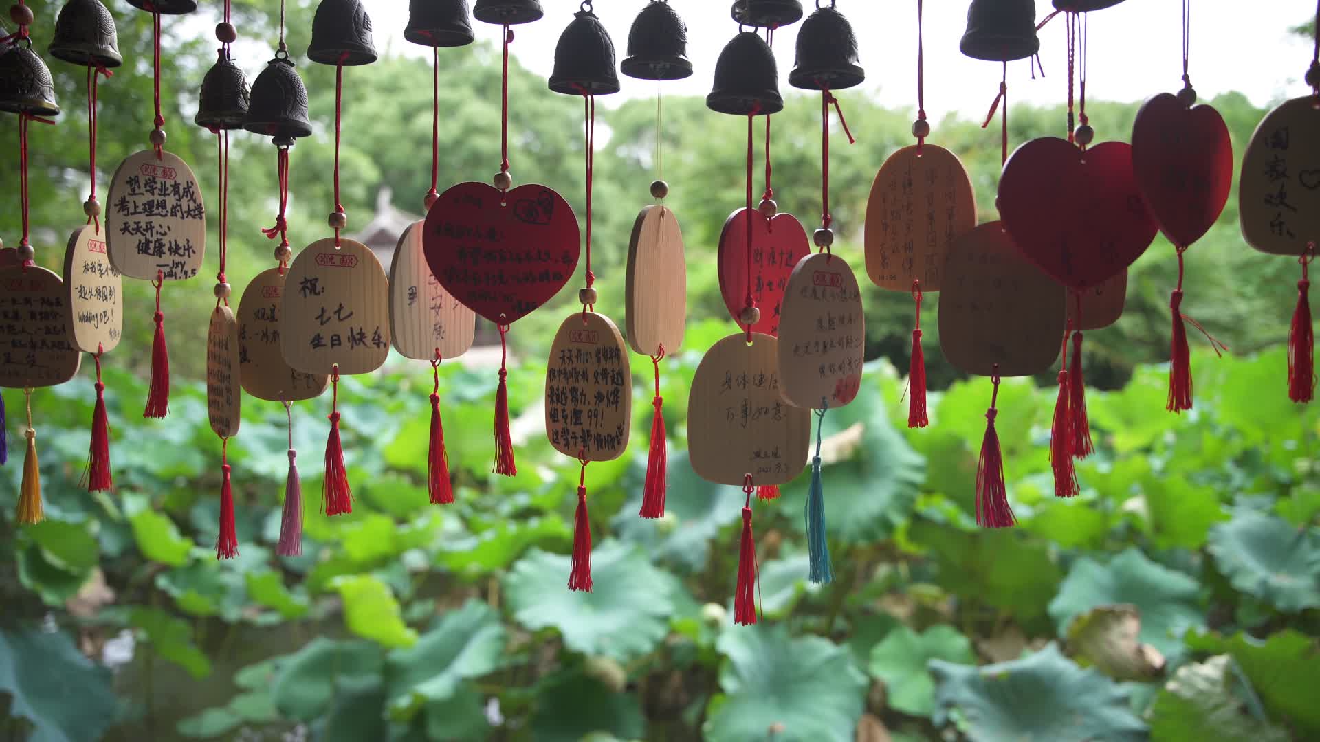 绍兴沈园中式园林视频的预览图