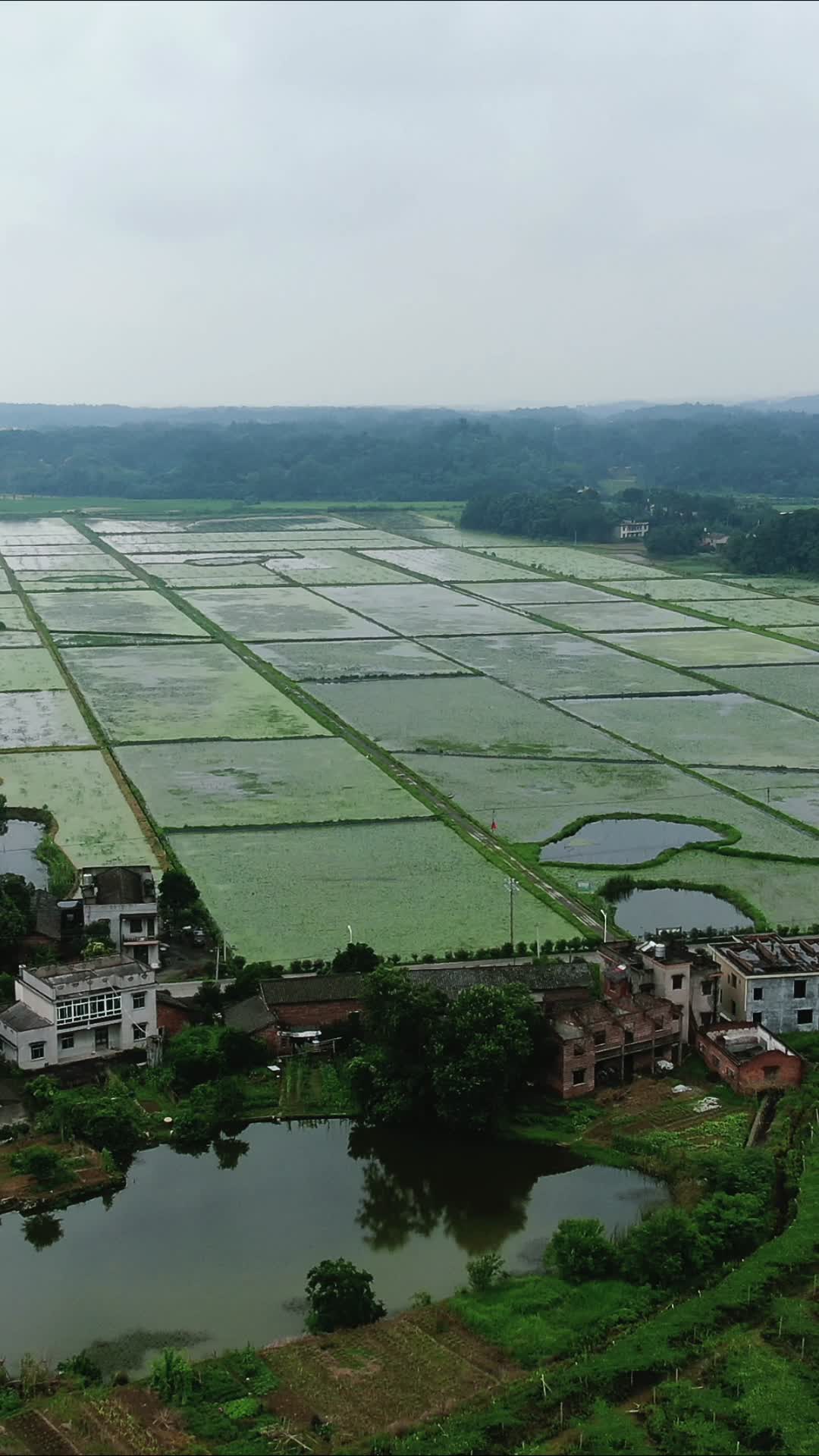 航拍农村农业农田种植视频的预览图