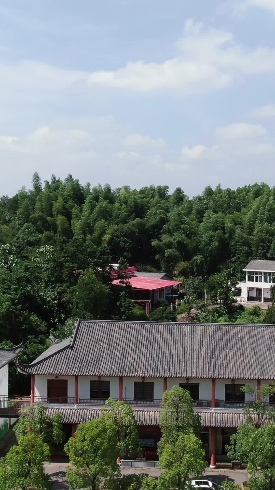 航拍旅游景区湖南湘潭盘龙大观园视频的预览图