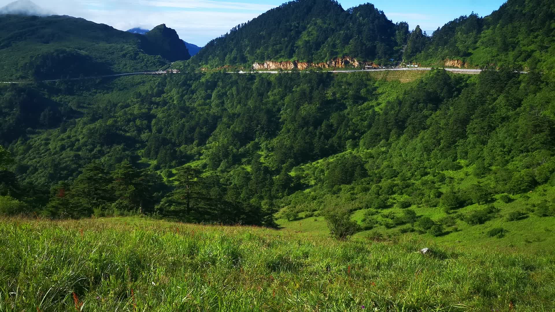 大自然清晨云海自然风光湖北神农架视频的预览图