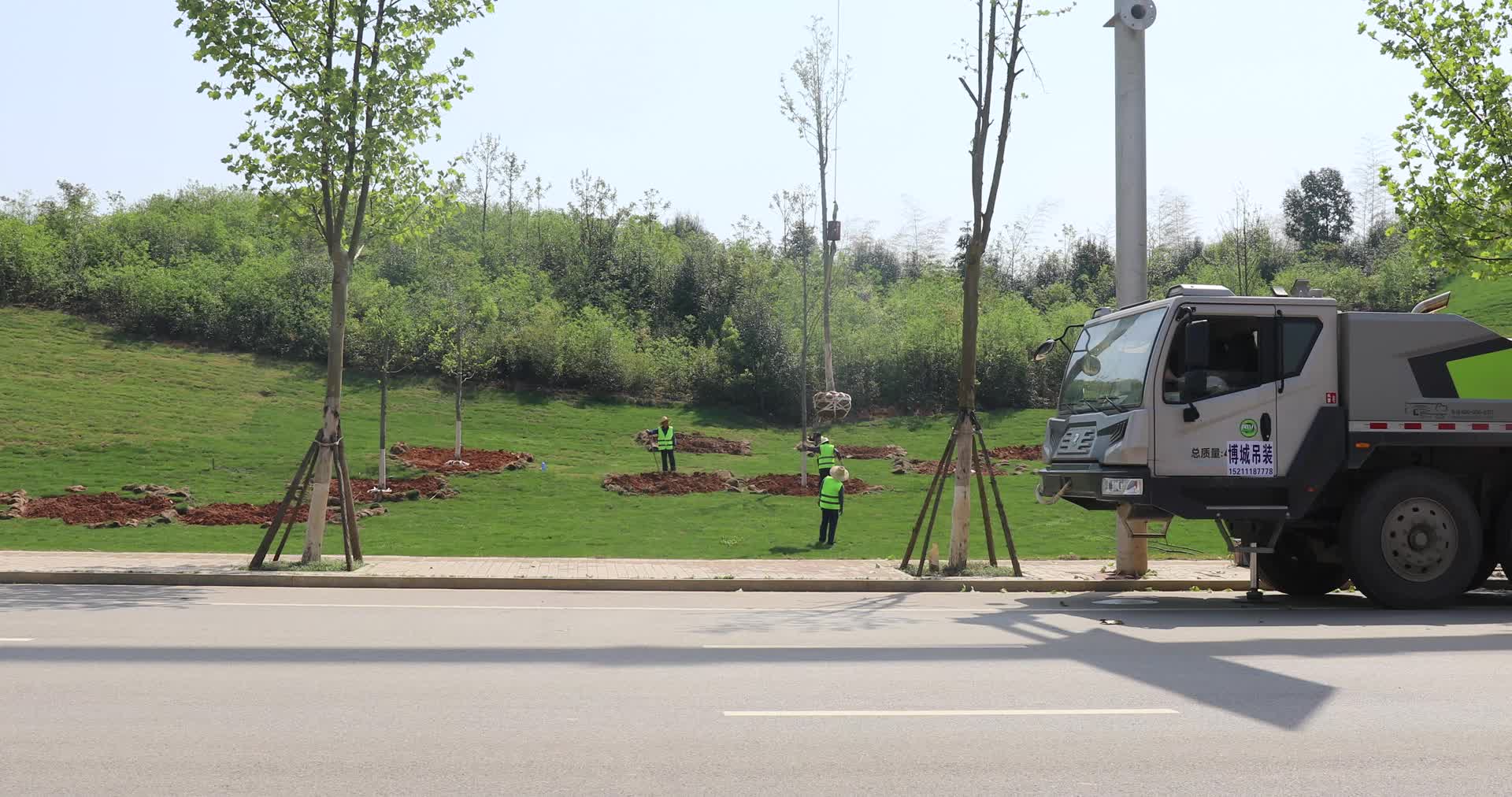4K实拍城市道路园林绿化视频的预览图