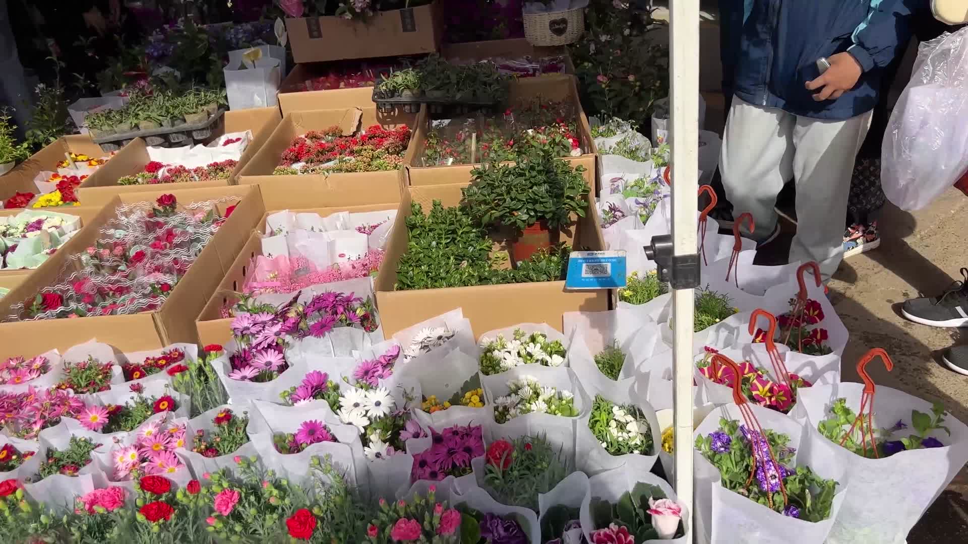 镜头合集市场卖鲜花盆栽绿植买花视频的预览图