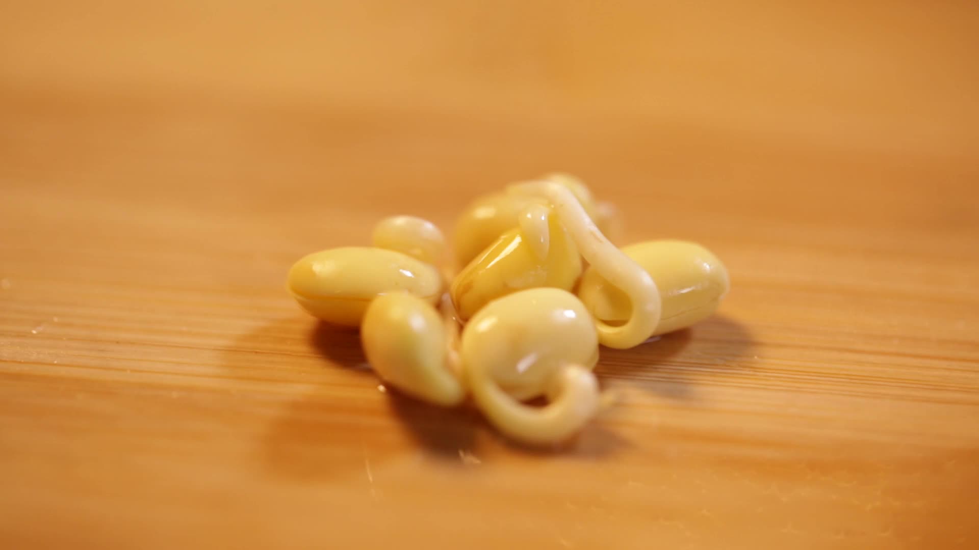 镜头合集泡黄豆豆嘴发豆芽黄豆胚芽视频的预览图