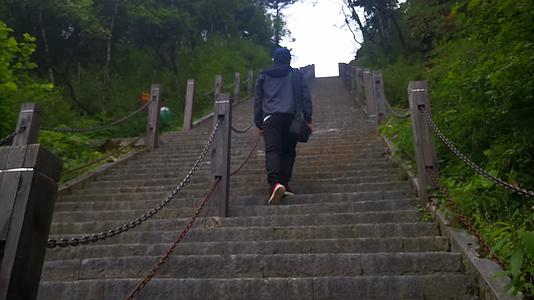 湖北神农架5A景区神农谷健身步道视频的预览图