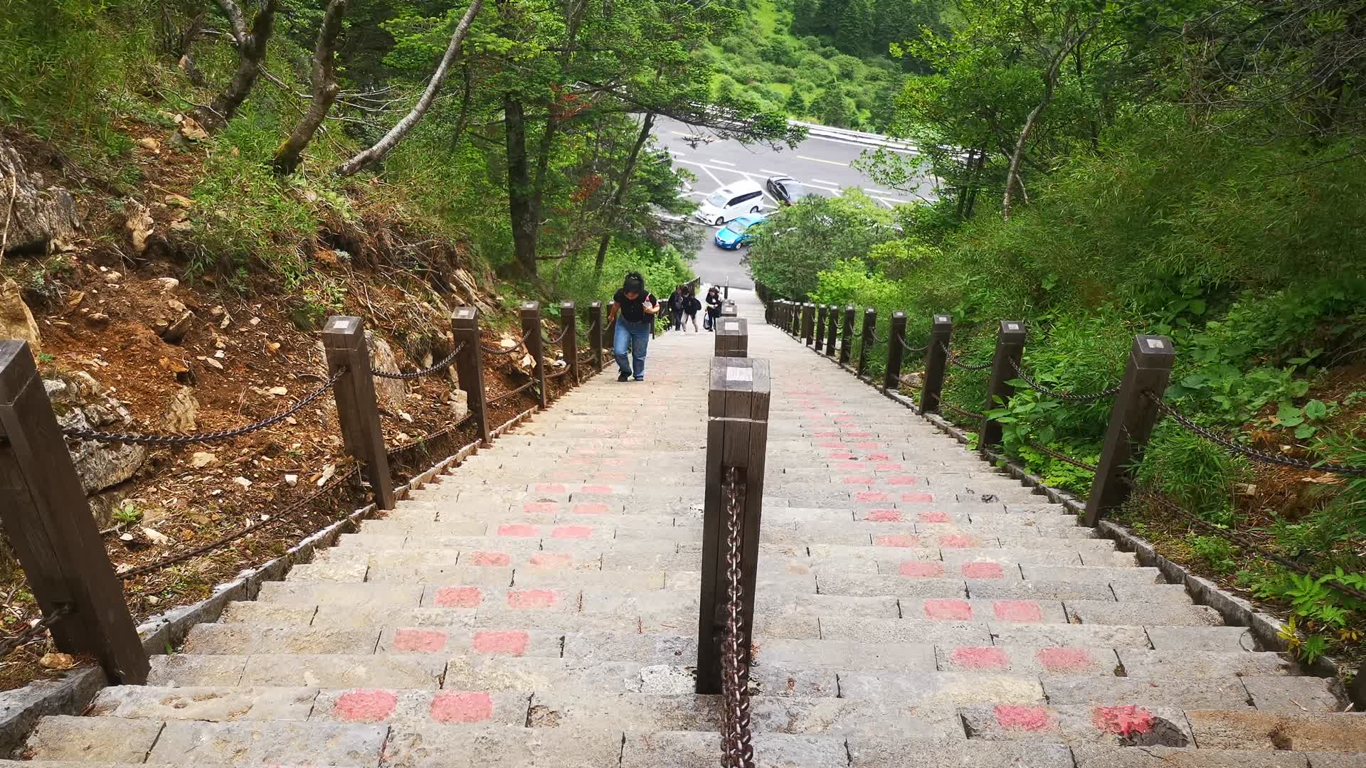 湖北神农架5A景区神农谷健身步道视频的预览图