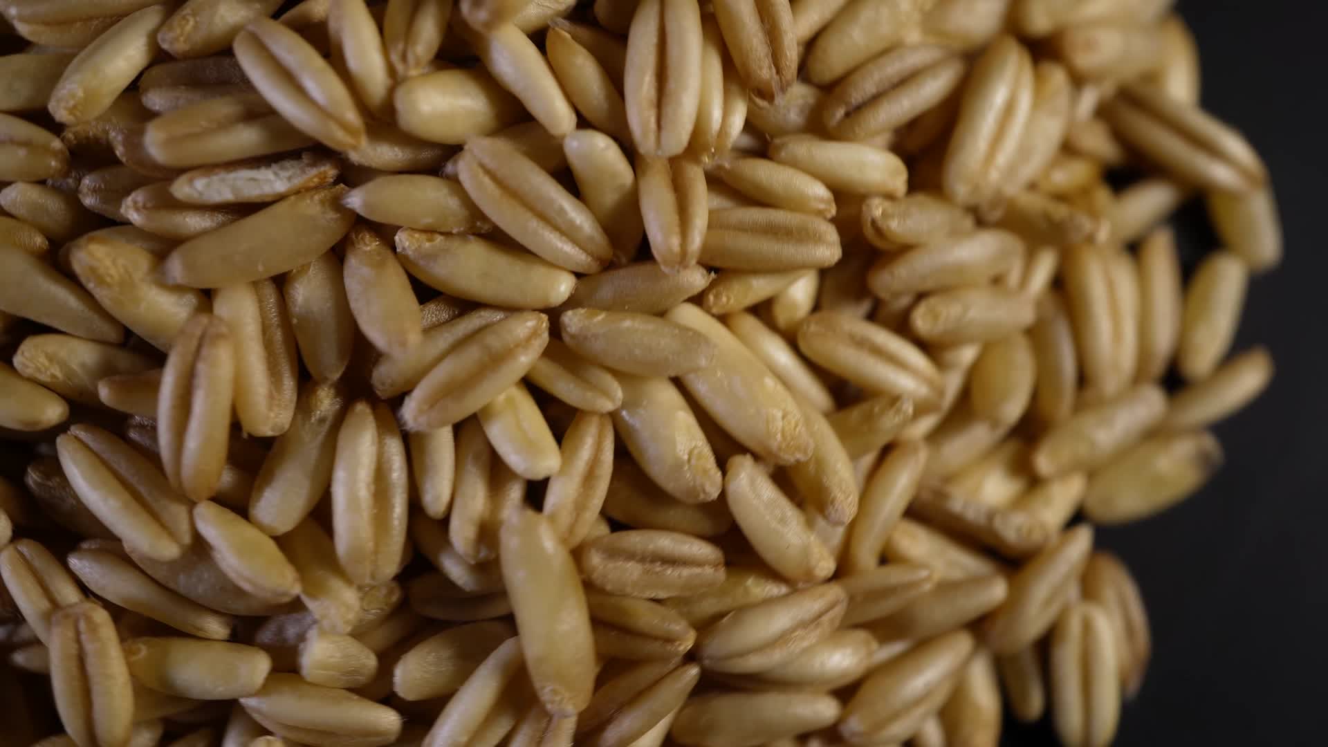 淮小麦视频的预览图
