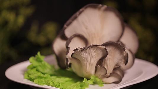 镜头合集蘑菇平菇氨基酸食材视频的预览图