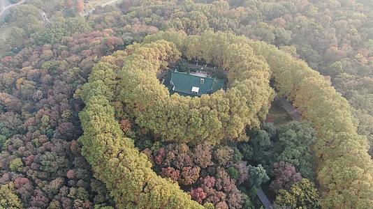 旅游景区南京美龄宫秋天视频的预览图