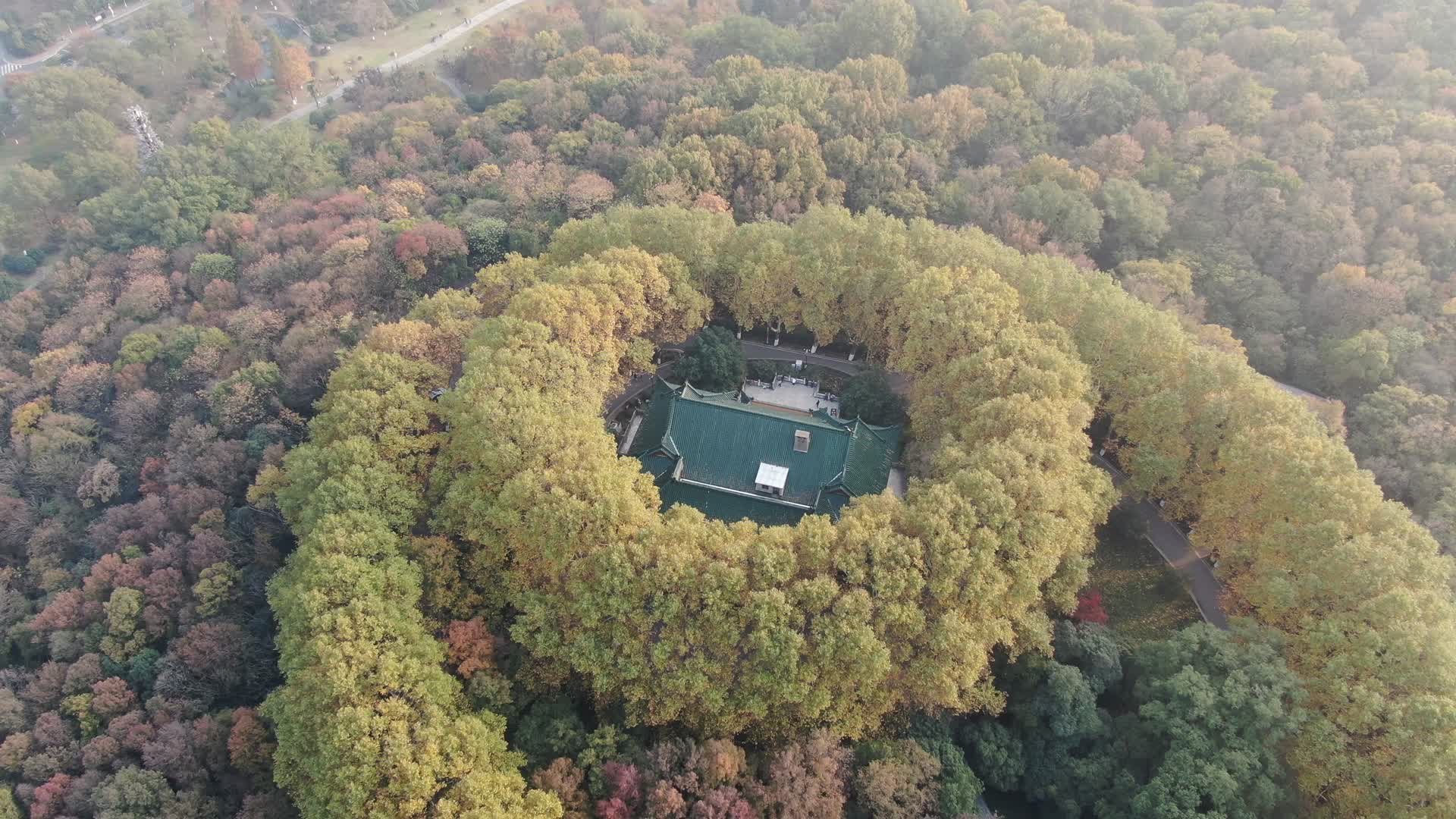 旅游景区南京钟山秋天枫叶航拍视频的预览图