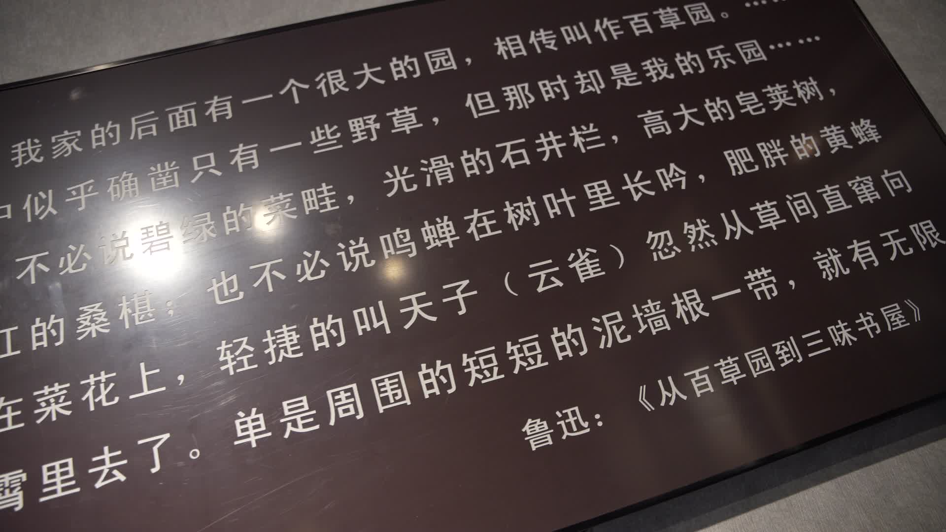 绍兴鲁迅故里鲁迅纪念馆视频的预览图