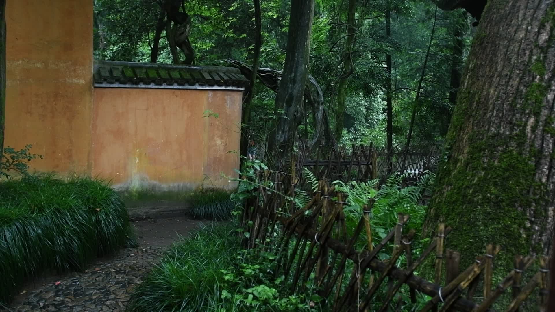 天台山国清寺视频的预览图