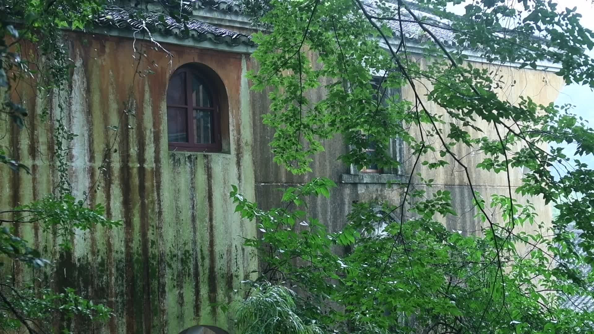 天台山国清寺视频的预览图