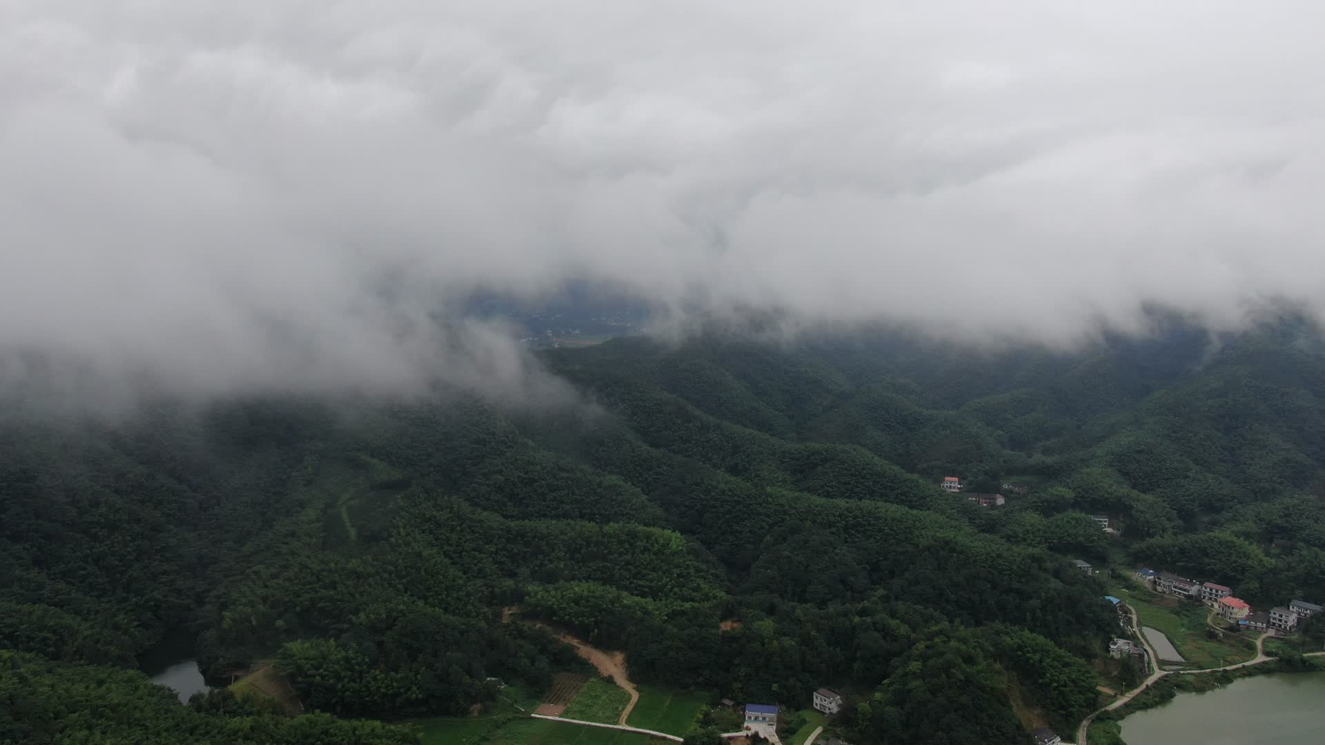自然风光雨后森林迷雾航拍视频的预览图