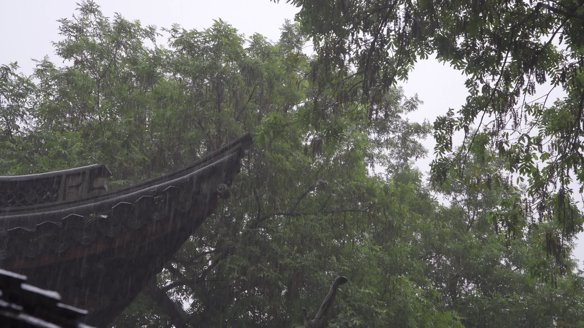 杭州江寺公园古典园林风景下雨天视频的预览图
