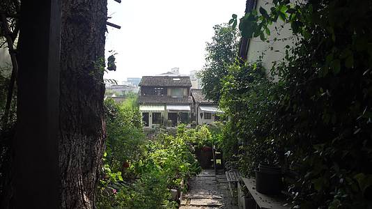 杭州小河直街历史文化街区风景视频的预览图