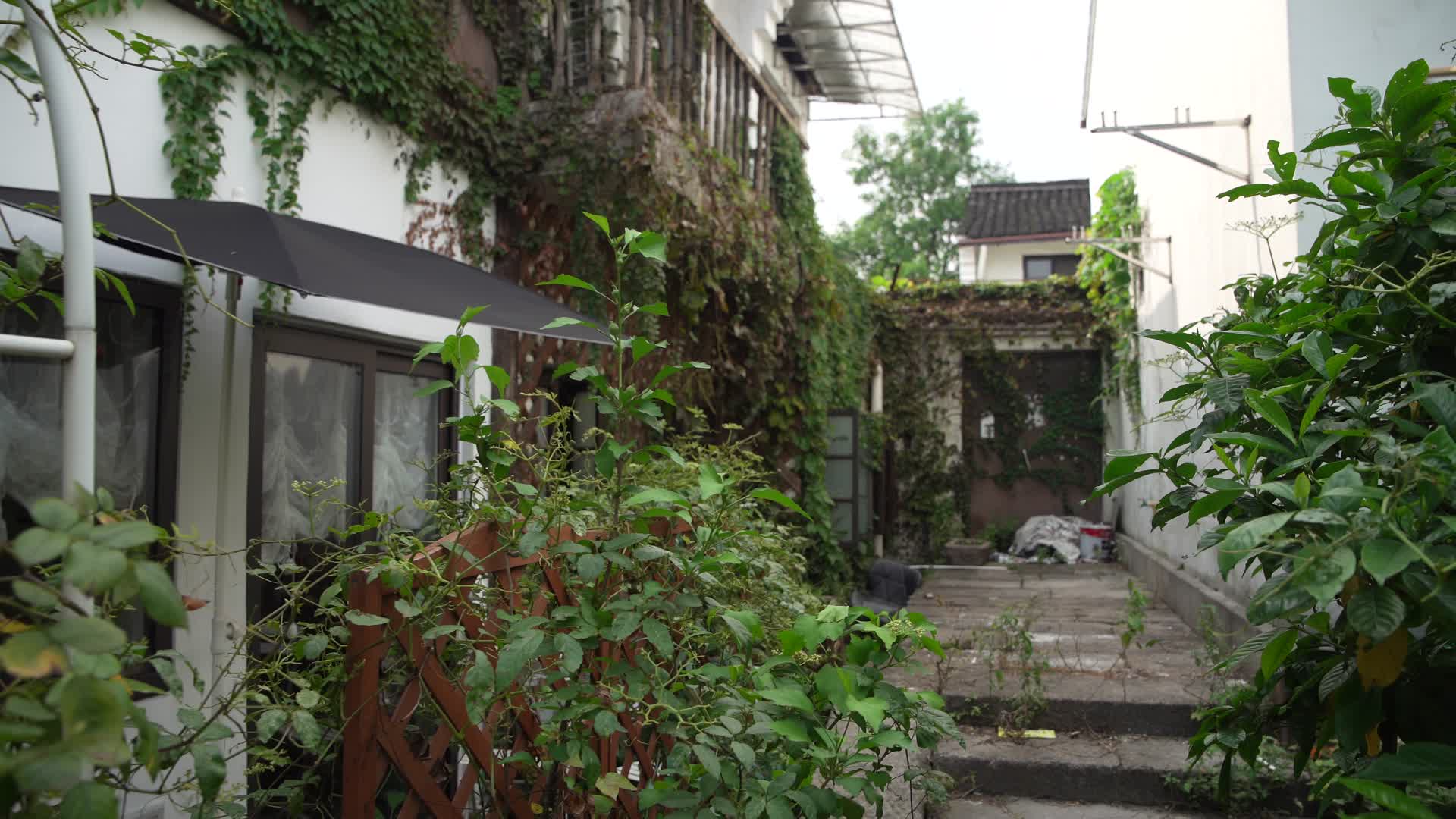 杭州小河直街历史文化街区风景视频的预览图