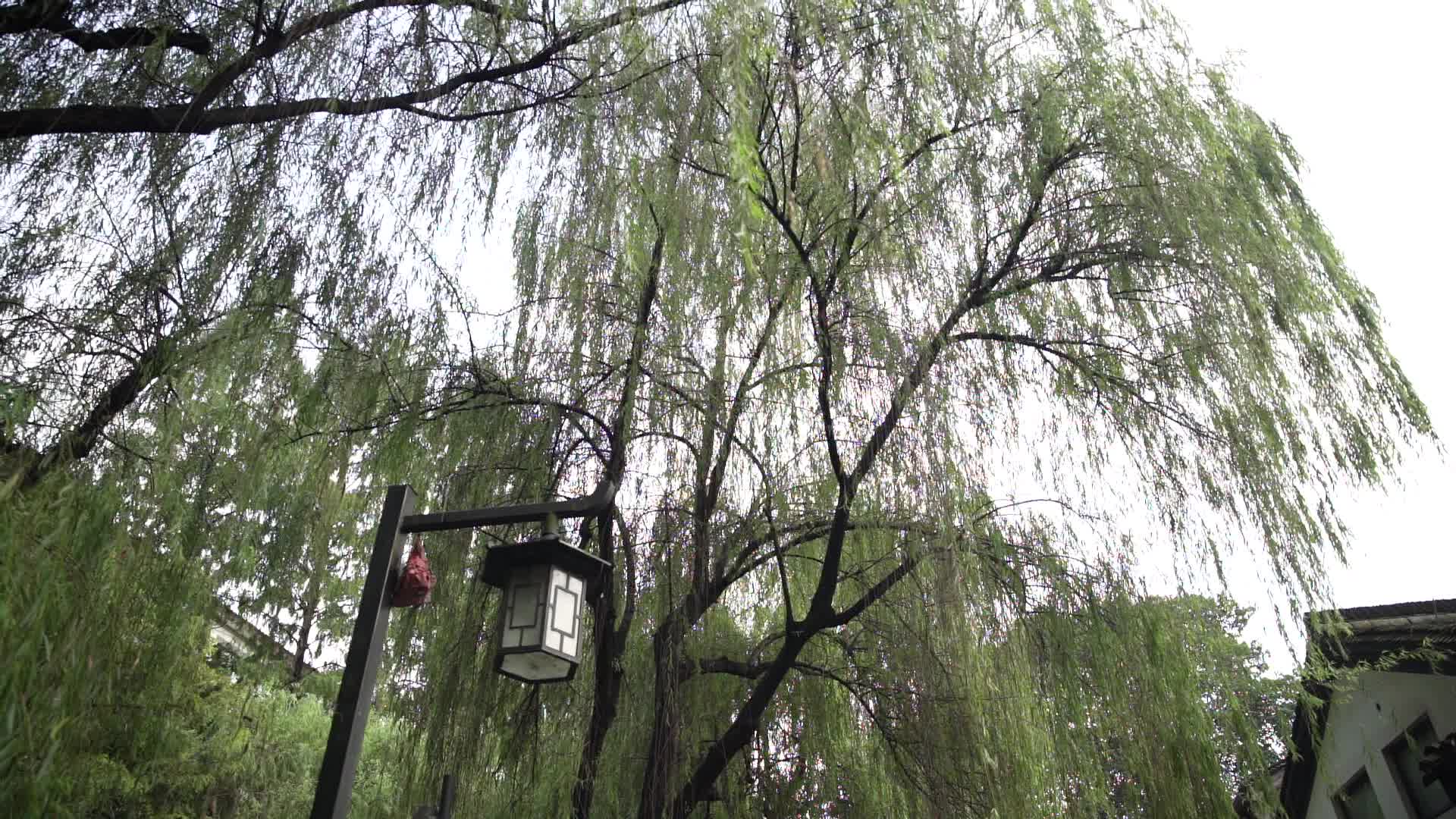杭州五柳巷历史街区视频的预览图