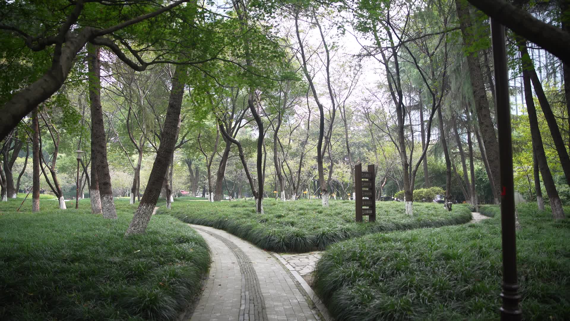 杭州江干区世纪花园公园视频的预览图