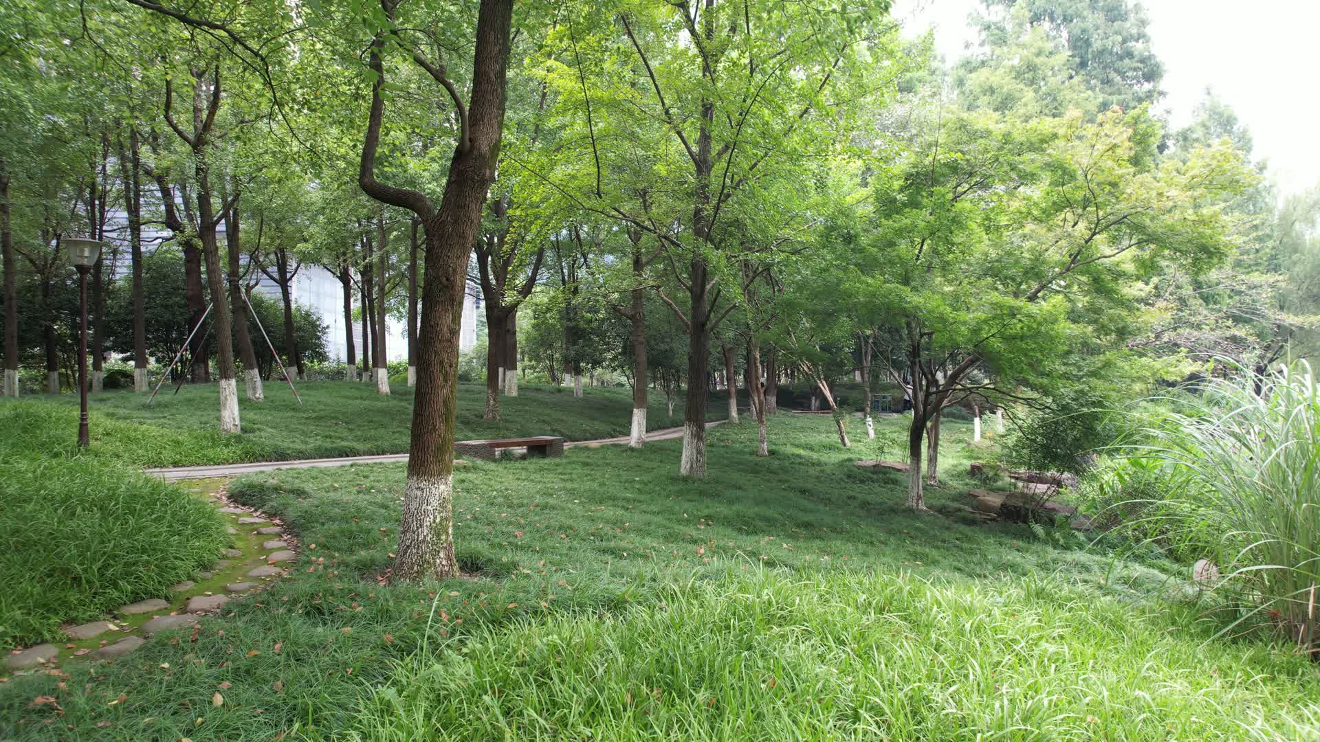 杭州江干区世纪花园公园航拍视频的预览图
