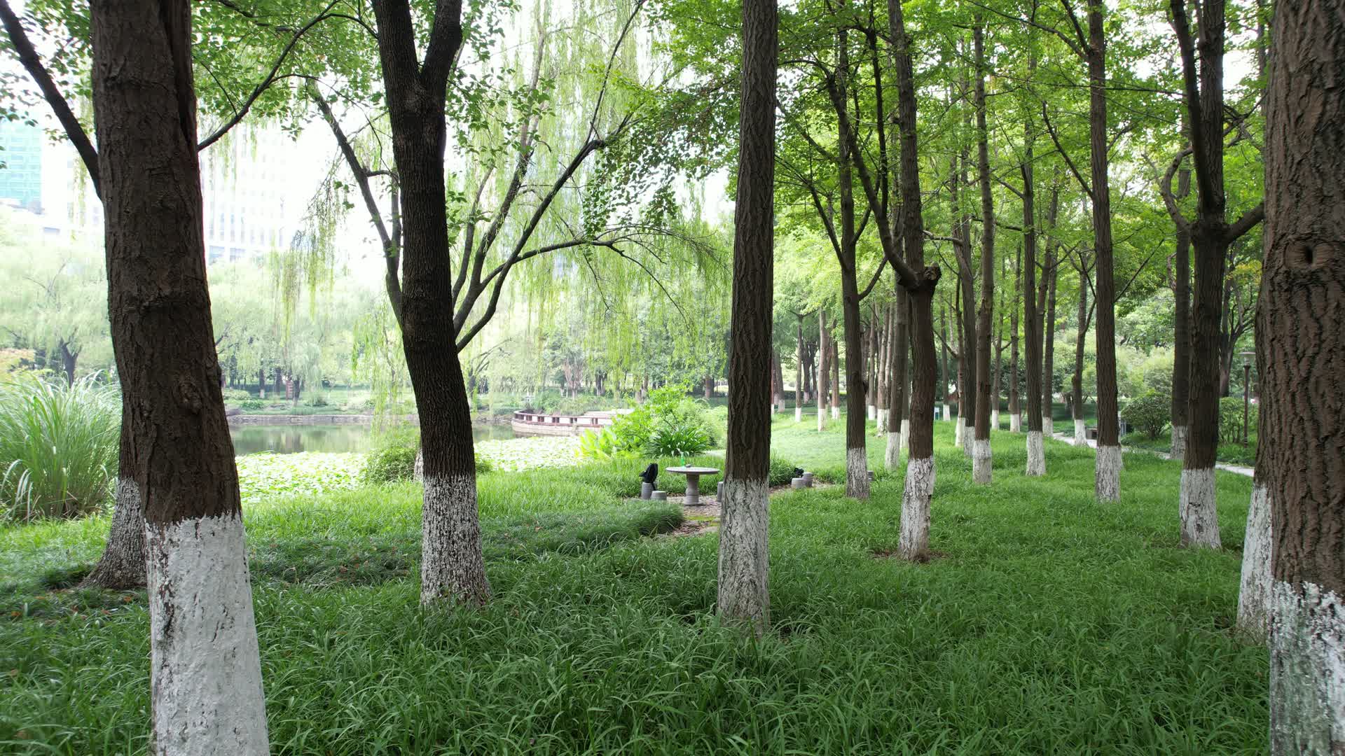 杭州江干区世纪花园公园航拍视频的预览图