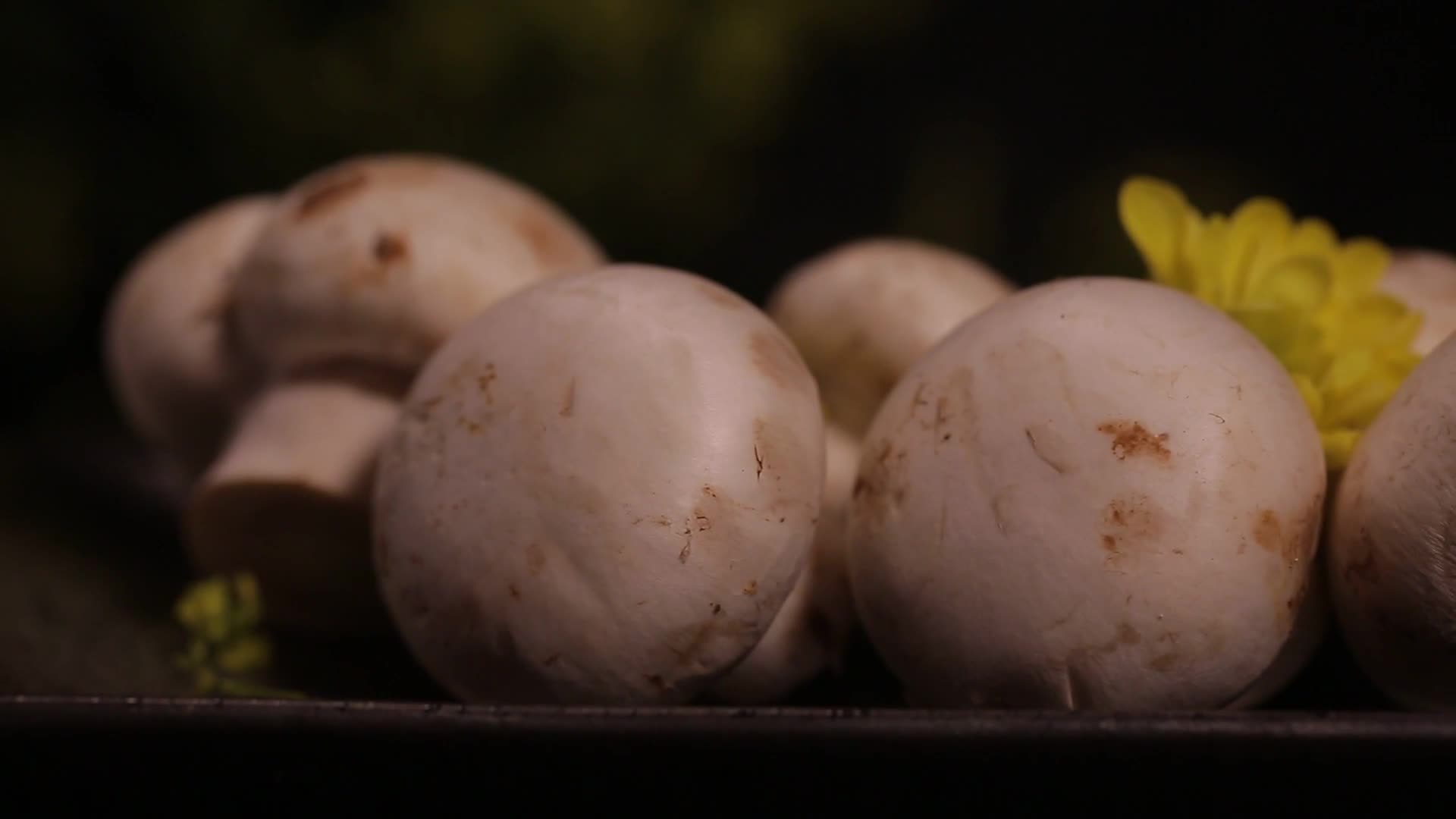 镜头合集口蘑白蘑菇提鲜食材视频的预览图