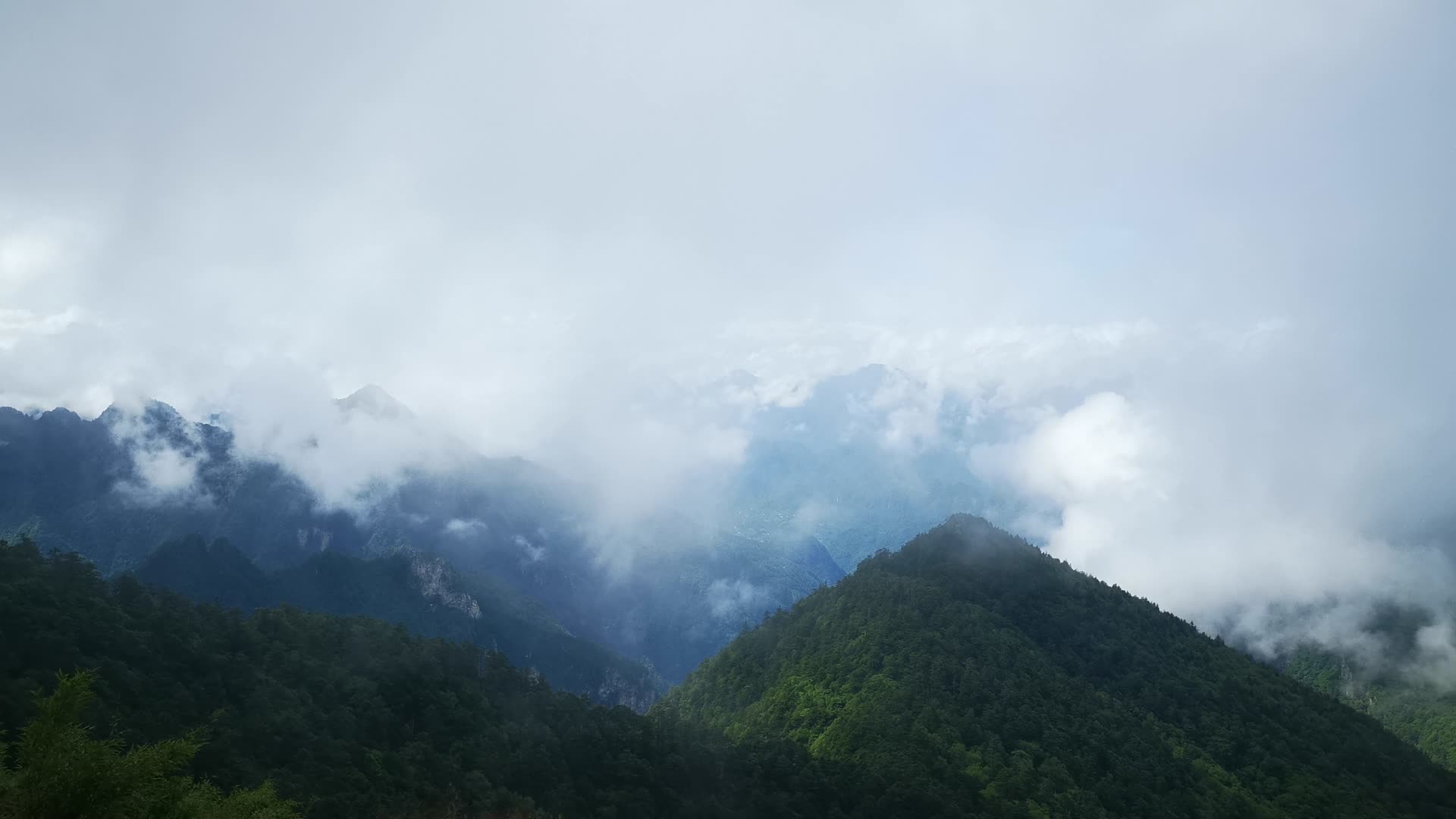 旅游景区湖北神农架神5A景区农顶云海自然风景视频的预览图